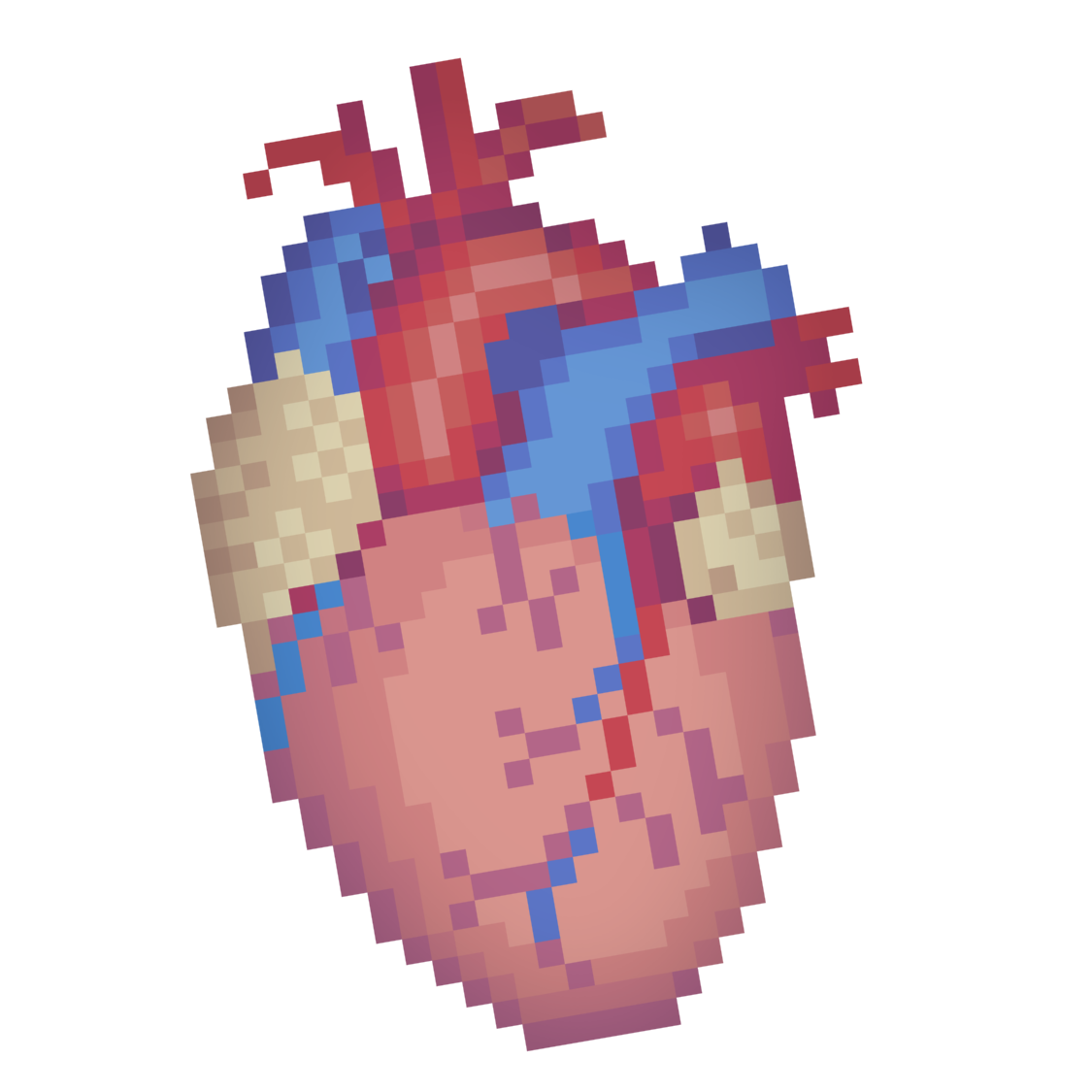 Cardiovascular History